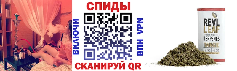 Бутират оксана  ссылка на мегу ссылки  Суджа 