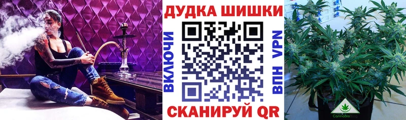 Шишки марихуана марихуана  цены наркотик  Суджа 